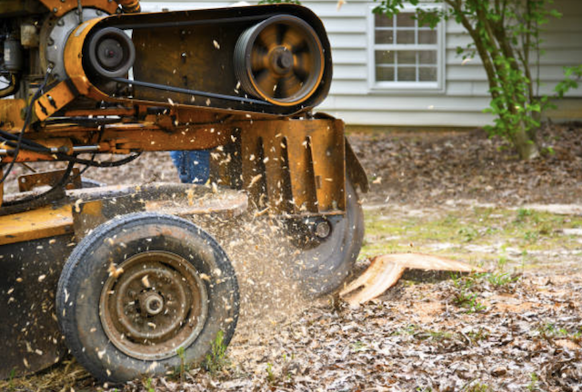stump grinding clark nv